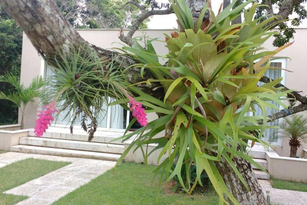 Buzios Requinte & Sofisticacao Villa Buitenkant foto